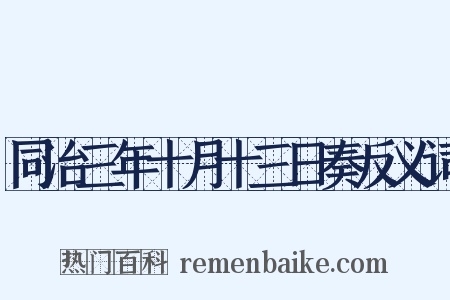 同治三年十月十三日奏反义词是什么意思的图片